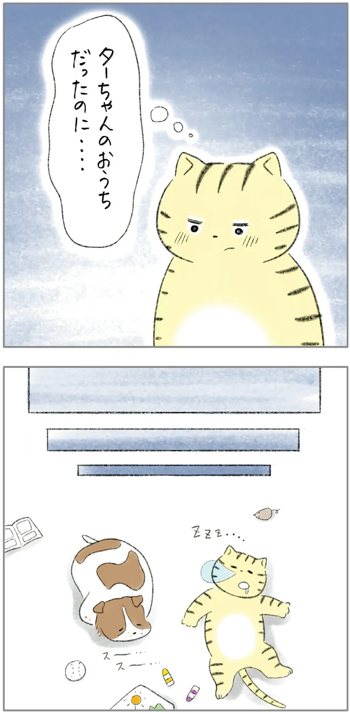 ターちゃんのおうちだったのに…