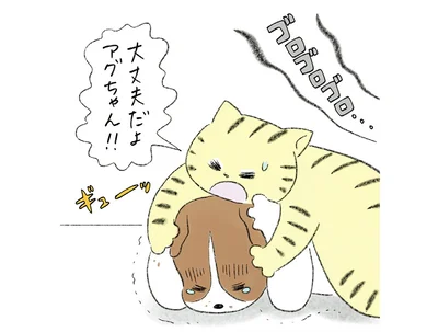 大丈夫だよアグちゃん！！
