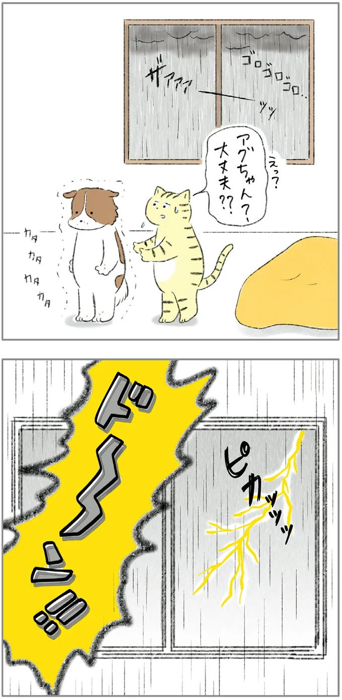 大丈夫？？