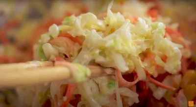 生で食べる白菜は、食感も甘みもバツグンに旨い！