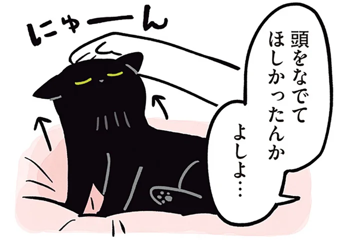 頭をなでて〜じゃない？黒猫ろんが飼い主にしてほしかったこと／黒猫ろんと暮らしたら2（2）
