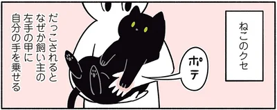 ねこのクセ