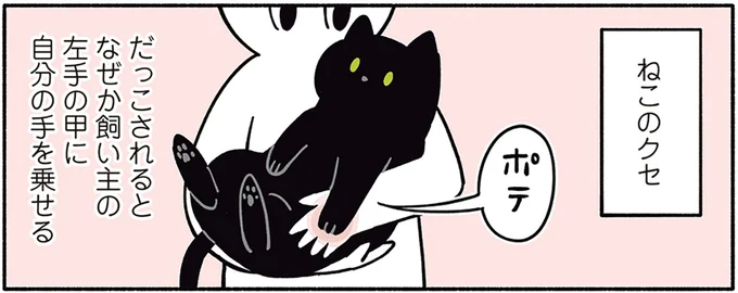 ねこのクセ