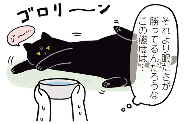 給水より眠気？水を飲んで欲しい飼い主とぐーたらな黒猫ろん／黒猫ろんと暮らしたら2（10）