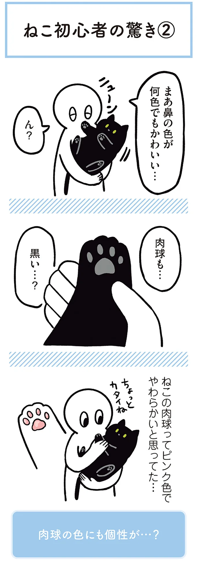 肉球も…黒い…？