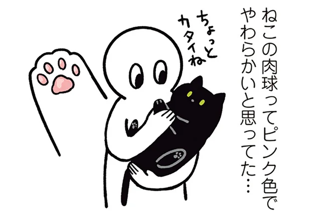 ピンクじゃないの？猫初心者だった飼い主が驚いた、黒猫ろんの個性／黒猫ろんと暮らしたら2（13）