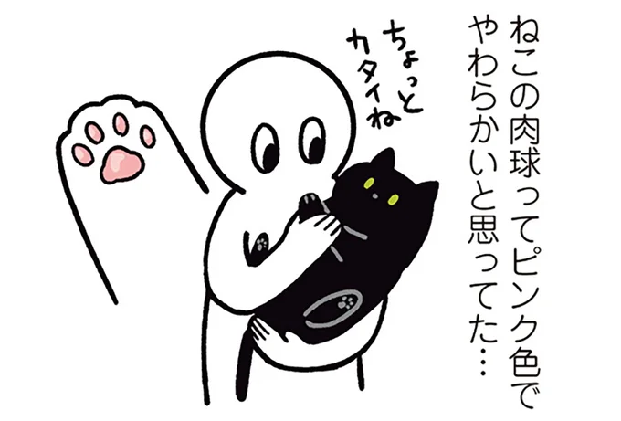 ねこの肉球ってピンク色でやわらかいと思ってた…