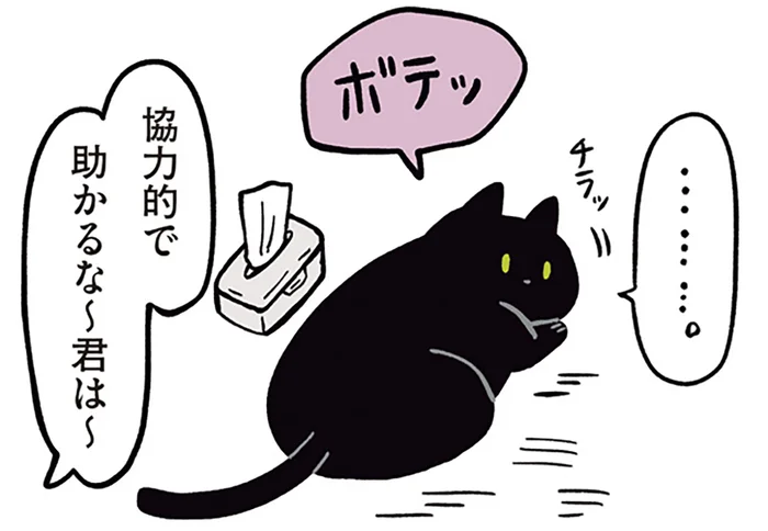 「協力的で助かる〜」飼い主が感心する黒猫ろんのブラッシング／黒猫ろんと暮らしたら2（14）