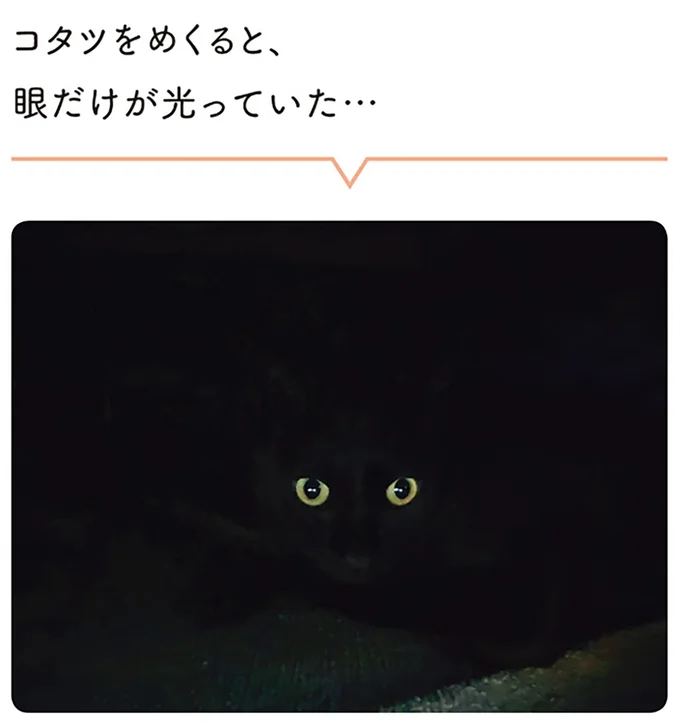 眼だけが光っていた…