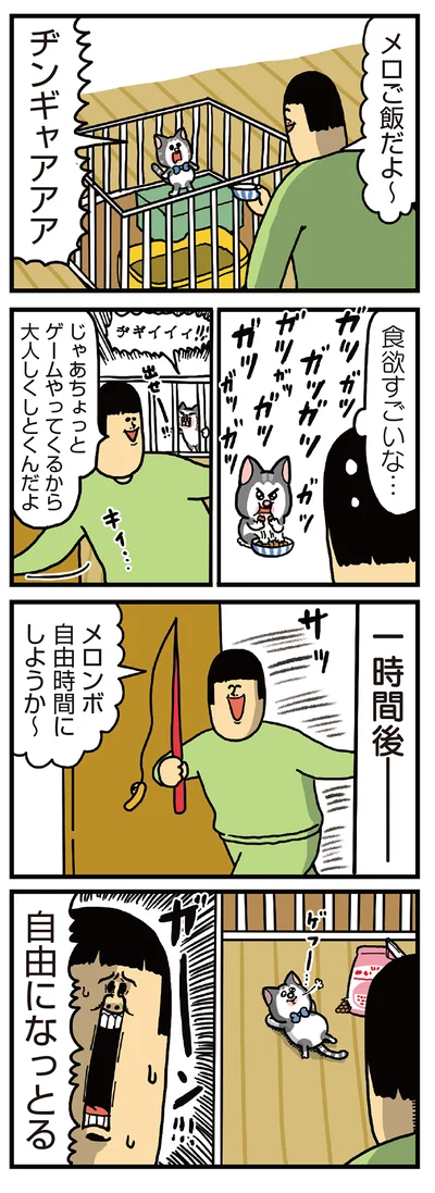 自由になっとる
