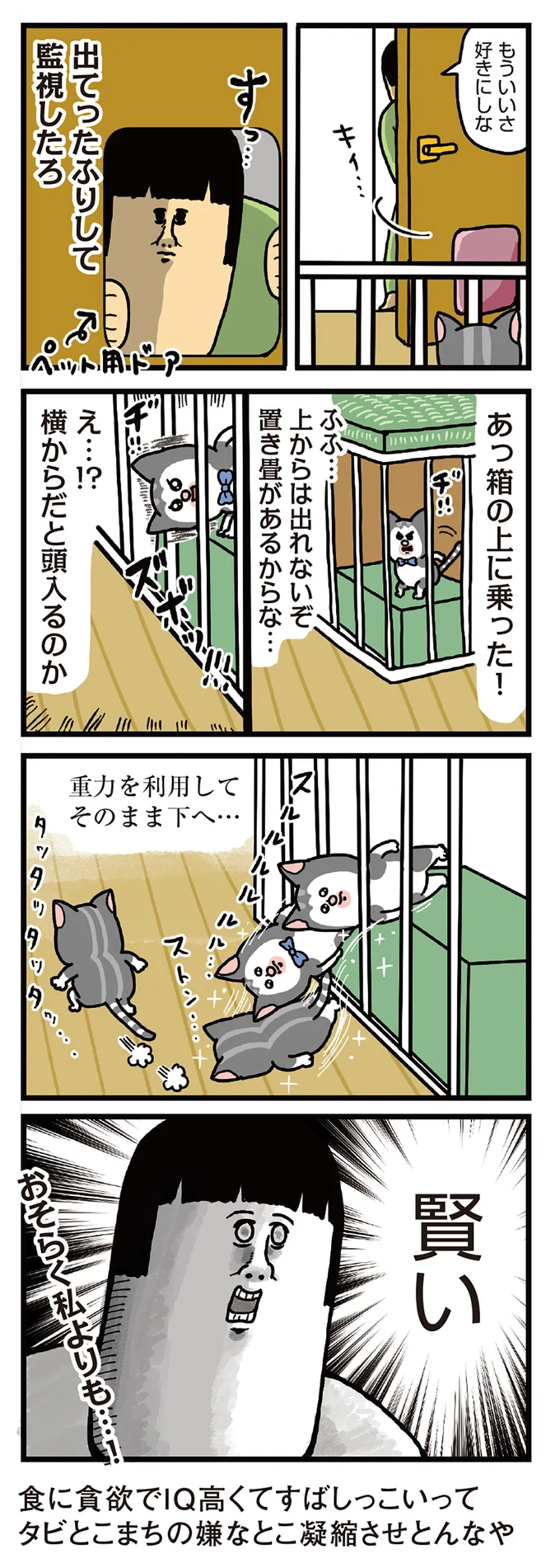 監視したろ