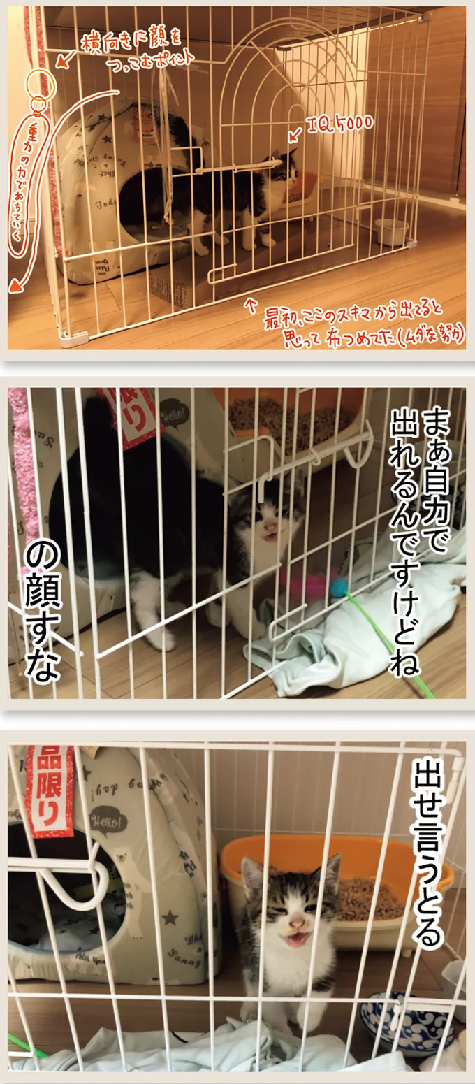 出せ言うとる