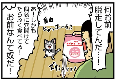 何お前脱走してんだ…！