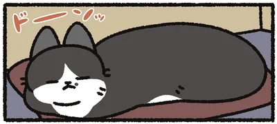 猫のサイズ感