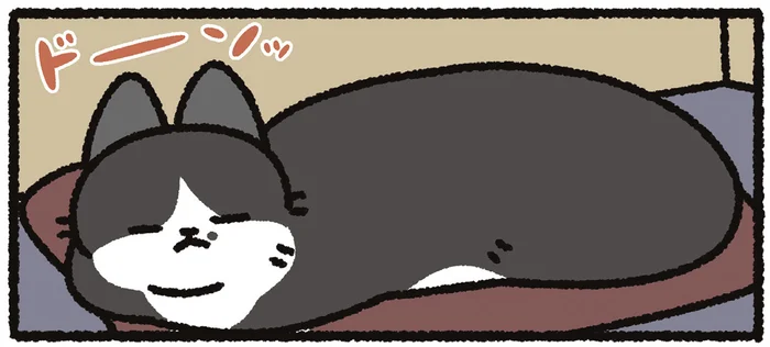うちの猫、もっと大きくなれ。朝起きて猫のサイズ感を見たときに思うこと