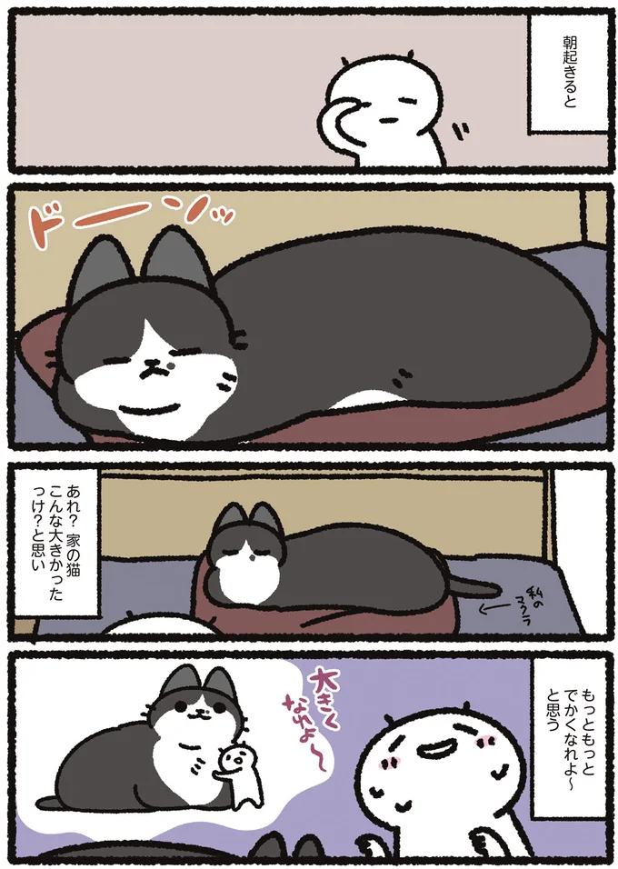 朝起きると