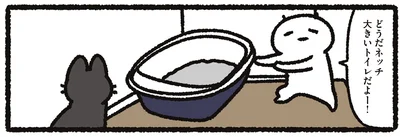大きいトイレを買ってみるも