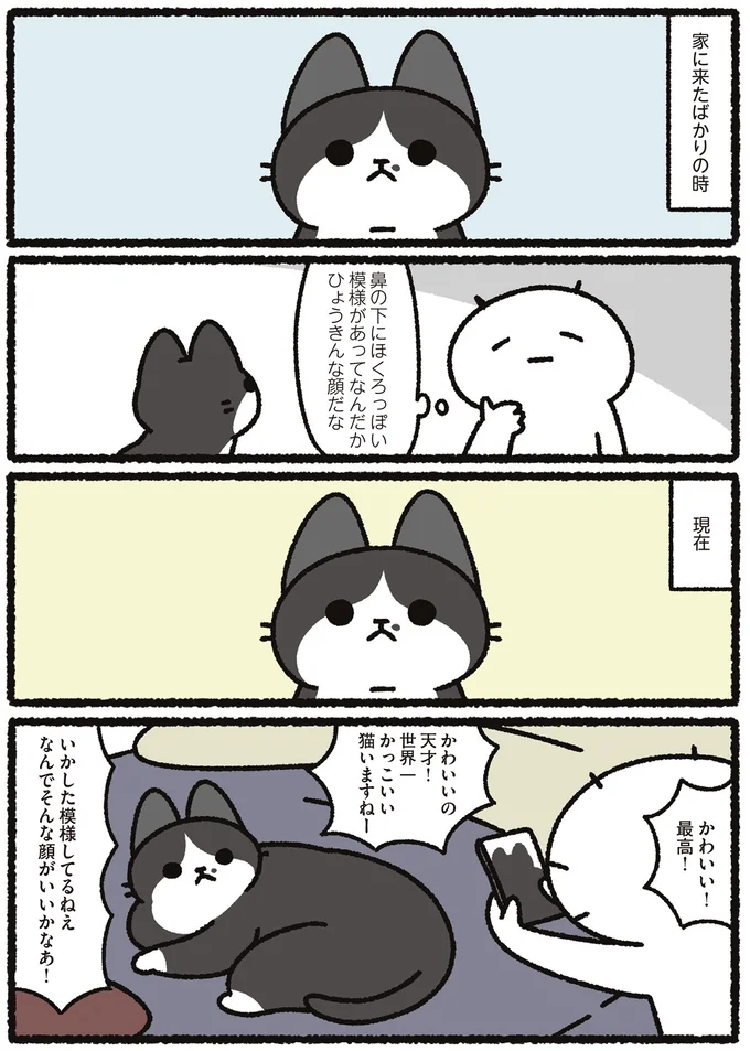 かわいい！最高！