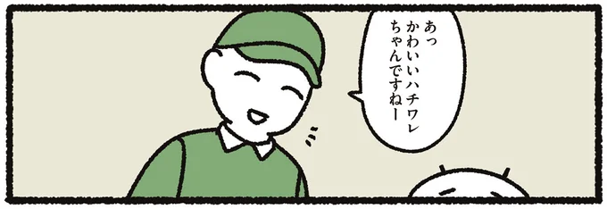 猫を褒められて