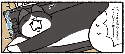 猫あるある