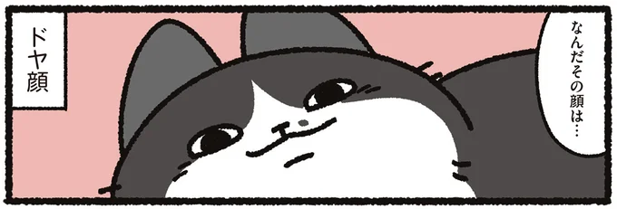 ドヤ顔