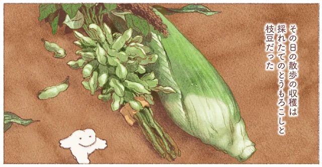 休職中の気だるい日々。道端で僕が見つけた、色鮮やかな旬の野菜たち