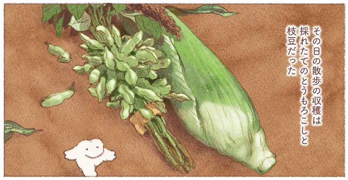 休職中の気だるい日々。道端で僕が見つけた、色鮮やかな旬の野菜たち