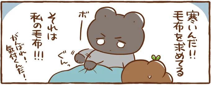 それは私の毛布!!!