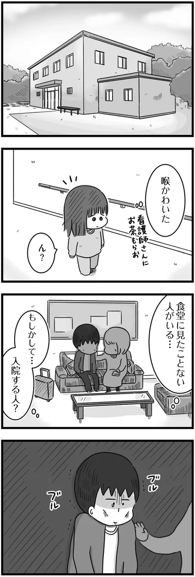 『精神科病棟の青春 あるいは高校時代の特別な1年間について』より