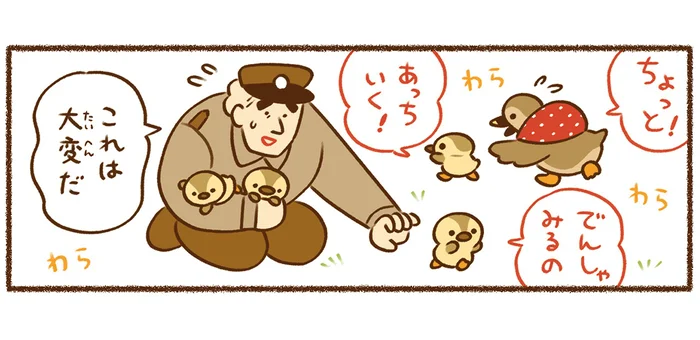 迷子になりがちなカルガモのヒナ。お引越しを無事に終わらせたいおまわりさんの秘策