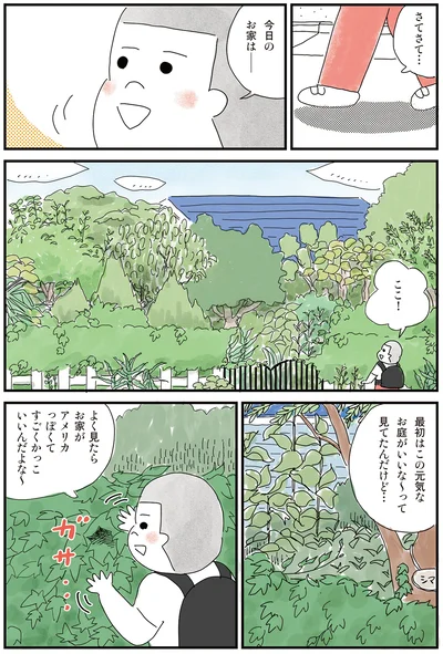 今日のお家は――