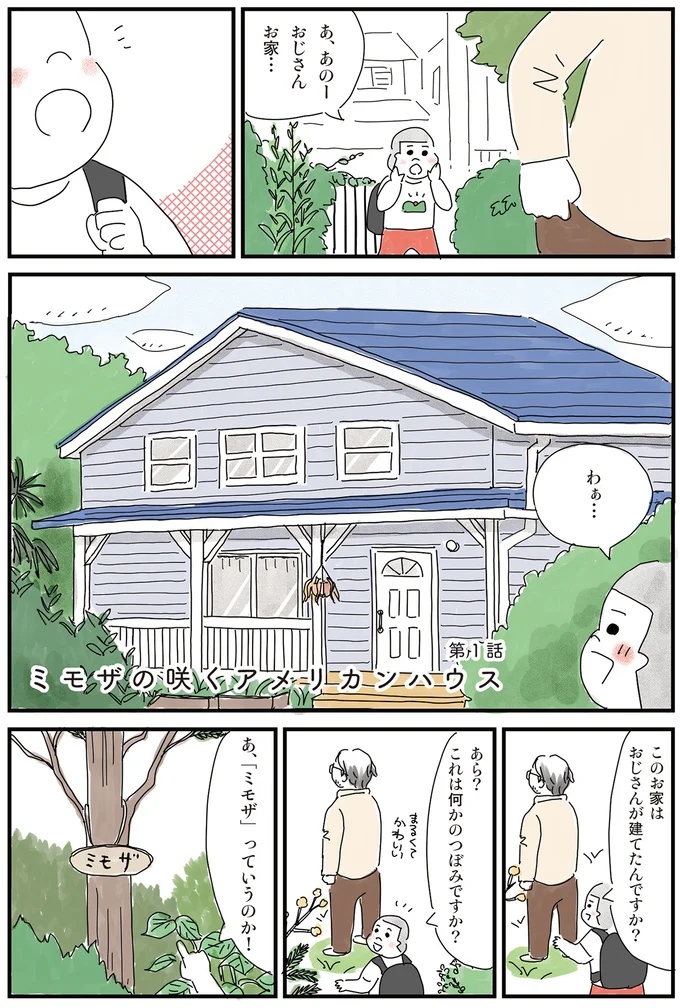 ミモザの咲くアメリカンハウス