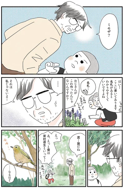 ミモザ？