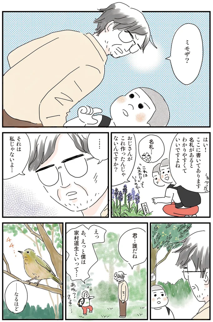 ミモザ？