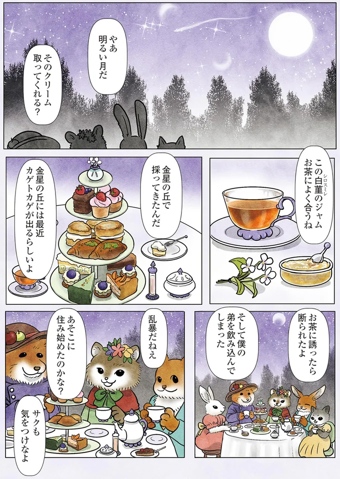 やあ明るい月だ