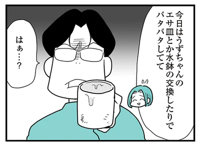 今日はバタバタしてて…