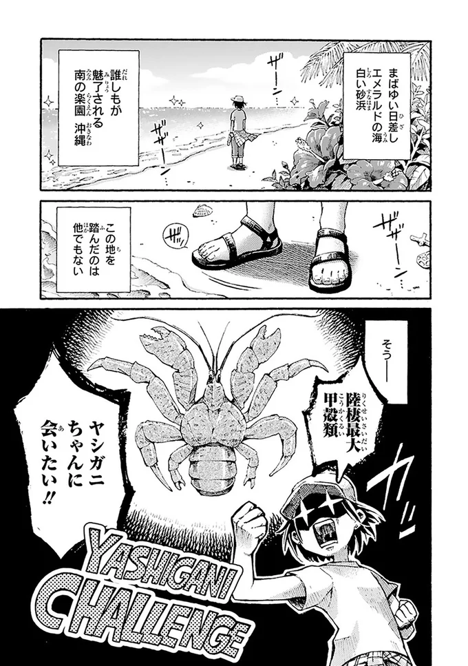 誰もが魅了される南の楽園沖縄