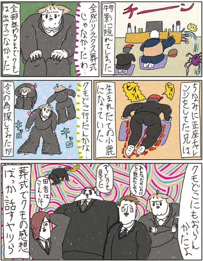 クモどこ行ったんかな…