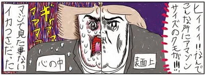 アマゾンサイズのクモが！！！