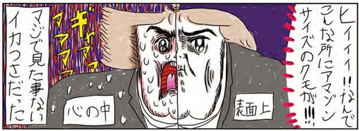 葬儀じゃなかったら走って逃げる！読経中に現れた存在感のありすぎるクモにフリーズ