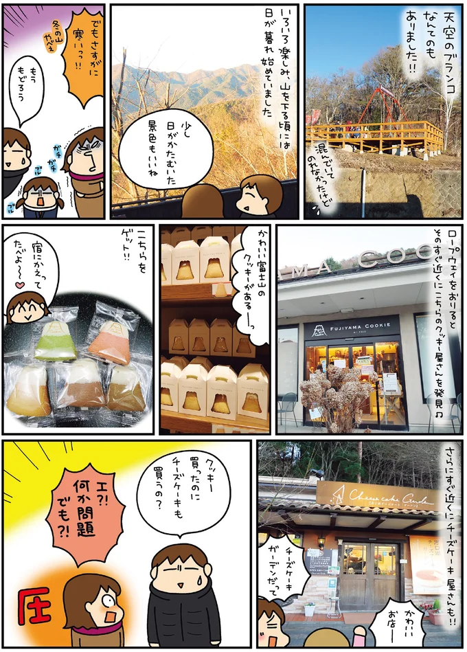 クッキー買ったのにチーズケーキも買うの？