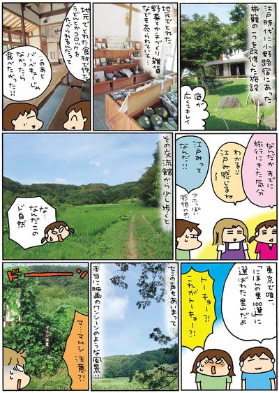 東京で唯一「にほんの里100選」に選ばれた里山