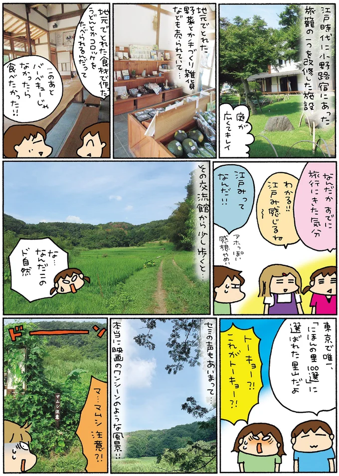 東京で唯一「にほんの里100選」に選ばれた里山