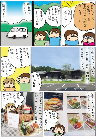 ピクニックもできます
