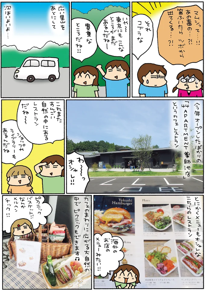 ピクニックもできます