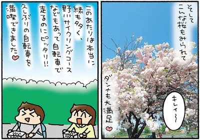 桜もみられてダンナも大満足