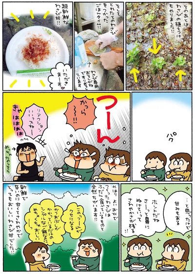 新鮮で辛いのに甘くてさわやかでとってもおいしいわさび丼