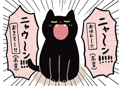 おきて～！！