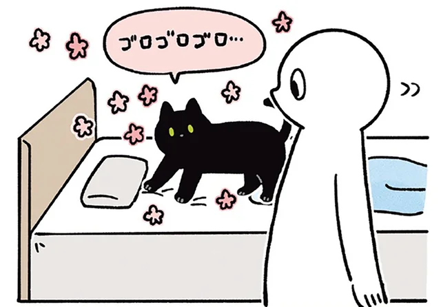 やりたい放題で最高！飼い主を叩き起こして満足する黒猫ろん／黒猫ろんと暮らしたら3（2）