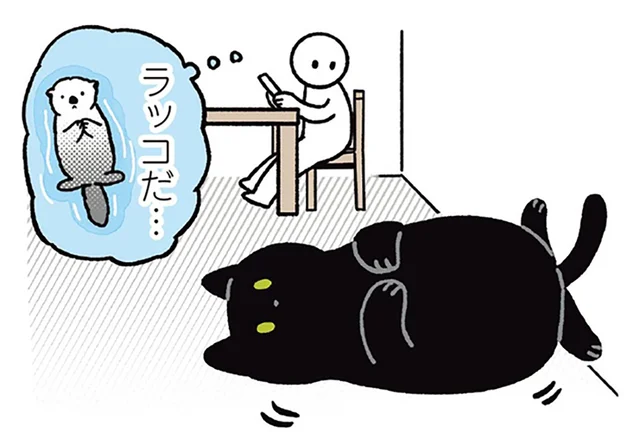 ラッコみたいでかわいい！黒猫ろんのシャッターチャンスを狙う飼い主／黒猫ろんと暮らしたら3（4）